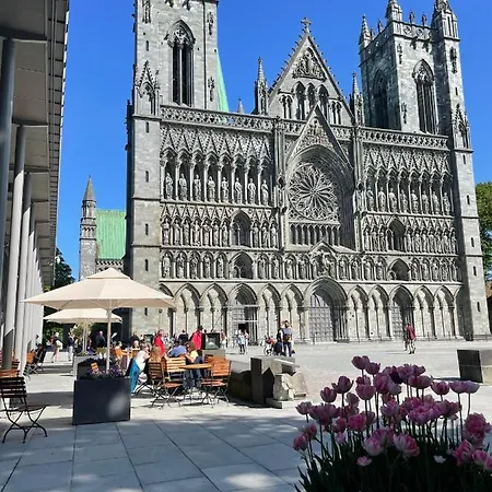 Vakantiehuis Tomannsbolig Pa Rosenborg