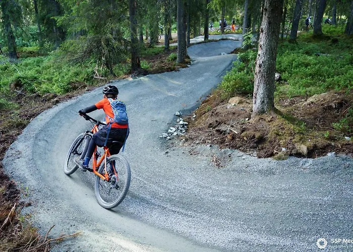Prázdninový dům Tomannsbolig Pa Rosenborg Trondheim