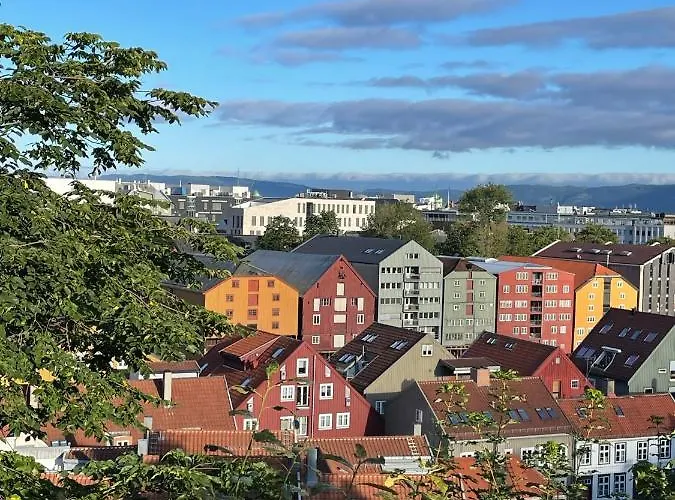Prázdninový dům Tomannsbolig Pa Rosenborg *