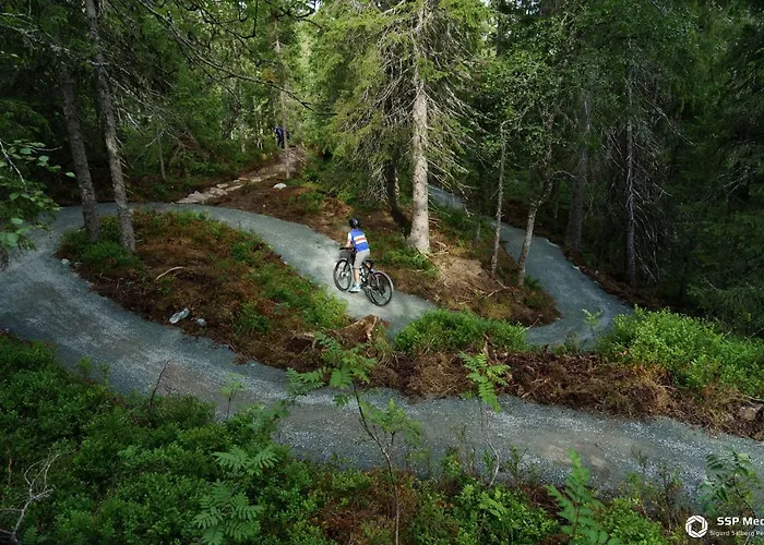 Prázdninový dům Tomannsbolig Pa Rosenborg