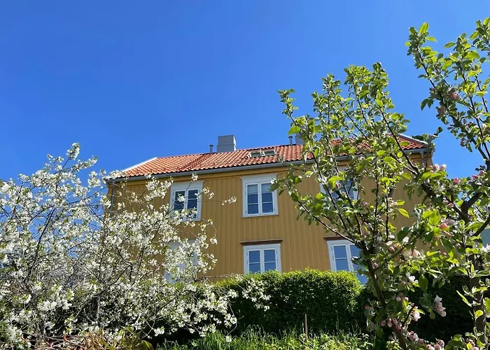 Prázdninový dům Tomannsbolig Pa Rosenborg Trondheim