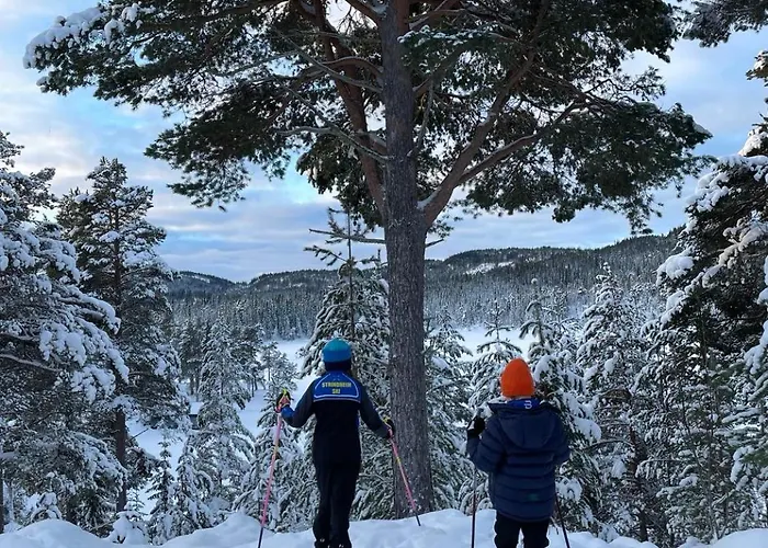 Tomannsbolig Pa Rosenborg * Trondheim