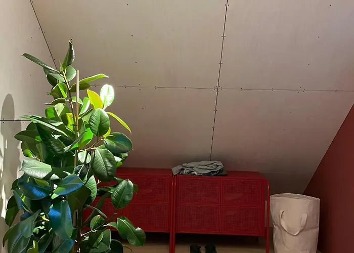 Tomannsbolig Pa Rosenborg Trondheim