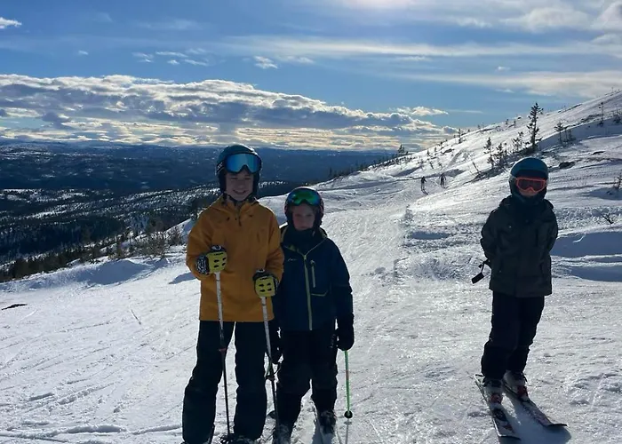 Tomannsbolig Pa Rosenborg * Trondheim