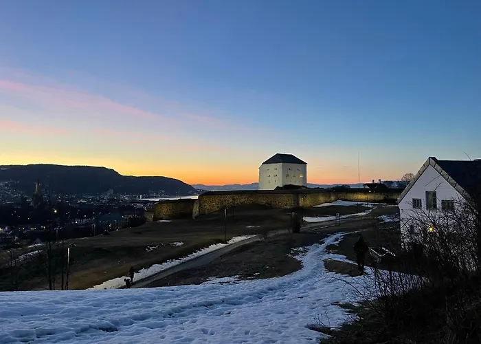 Tomannsbolig På Rosenborg