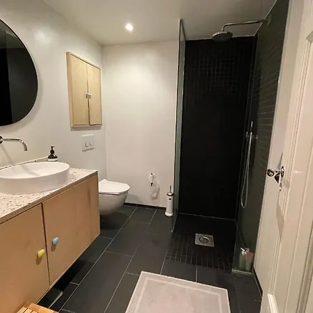 Tomannsbolig Pa Rosenborg 特隆赫姆