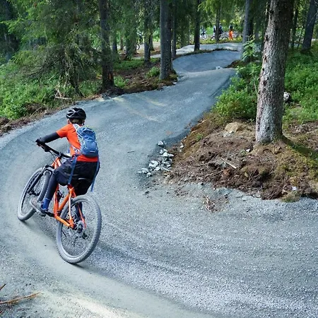 度假居 Tomannsbolig Pa Rosenborg 特隆赫姆