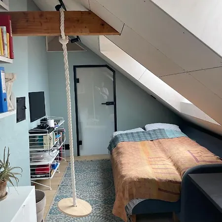 度假居 Tomannsbolig Pa Rosenborg