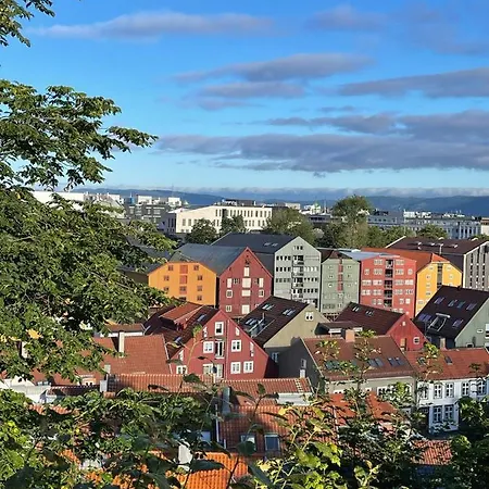 度假居 Tomannsbolig Pa Rosenborg *