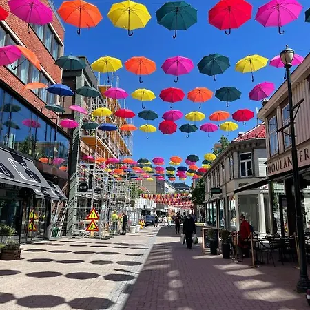 Tomannsbolig Pa Rosenborg 度假居 特隆赫姆