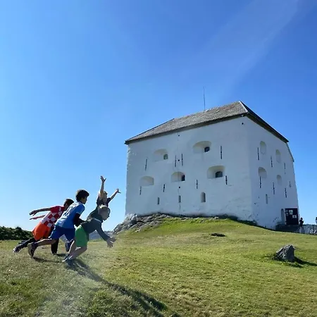 Tomannsbolig Pa Rosenborg 度假居 特隆赫姆