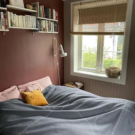 度假居 Tomannsbolig Pa Rosenborg