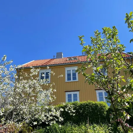 度假居 Tomannsbolig Pa Rosenborg 特隆赫姆