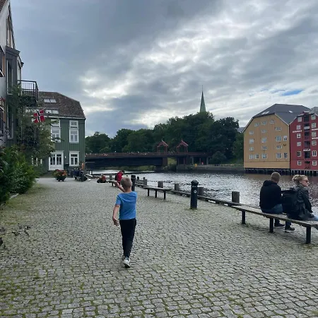 Tomannsbolig Pa Rosenborg * 特隆赫姆