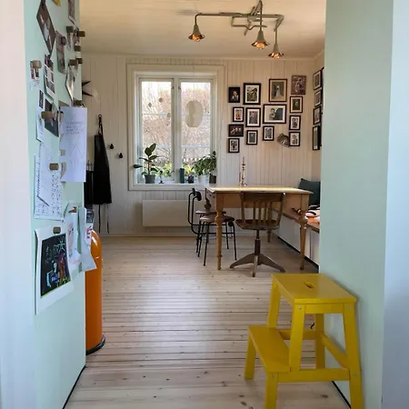 Tomannsbolig Pa Rosenborg * 特隆赫姆