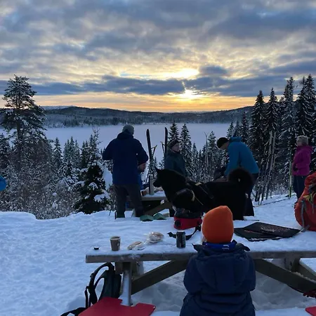 Tomannsbolig Pa Rosenborg 度假居 特隆赫姆