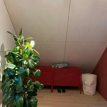 Tomannsbolig Pa Rosenborg 特隆赫姆