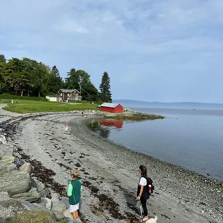 度假居 Tomannsbolig Pa Rosenborg 特隆赫姆