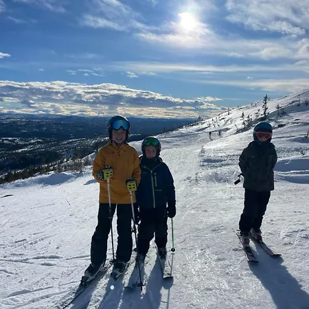 Tomannsbolig Pa Rosenborg * 特隆赫姆