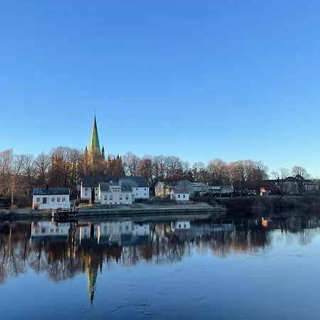 Tomannsbolig Pa Rosenborg 度假居 特隆赫姆