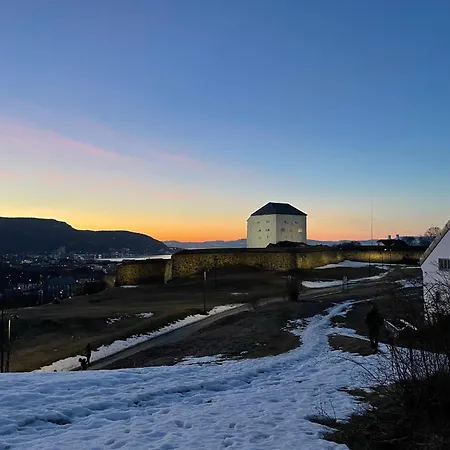 Tomannsbolig Pa Rosenborg